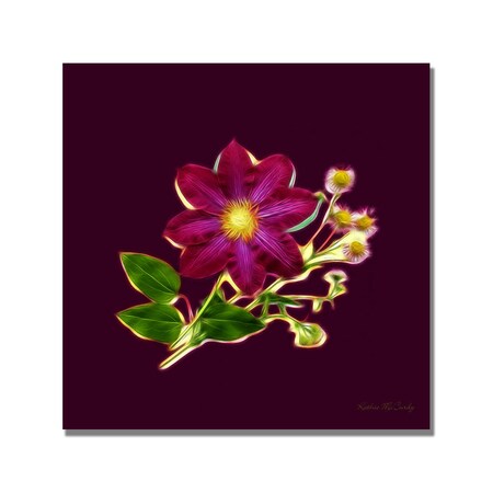 Kathie McCurdy 'Clemata & Wild Daisy' Canvas Art,18x18